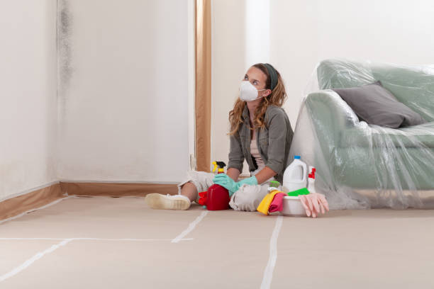 Reliable Black Mold Remediation contractor in Newaygo, MI by Car Mold Remediation